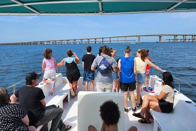 Daily Dolphin Cruise + Sightseeing Tour on Pensacola Beach - Who Will Love This Tour?