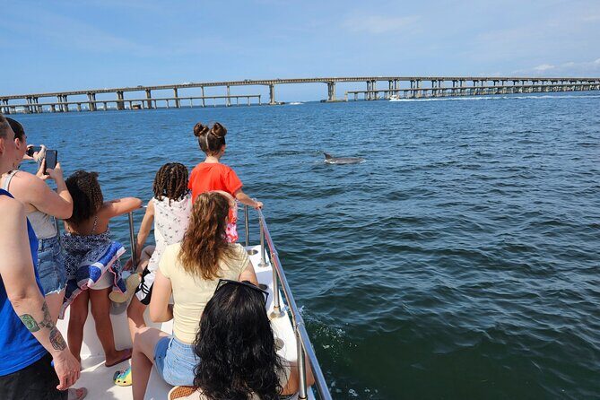 Daily Dolphin Cruise + Sightseeing Tour on Pensacola Beach - The Sum Up