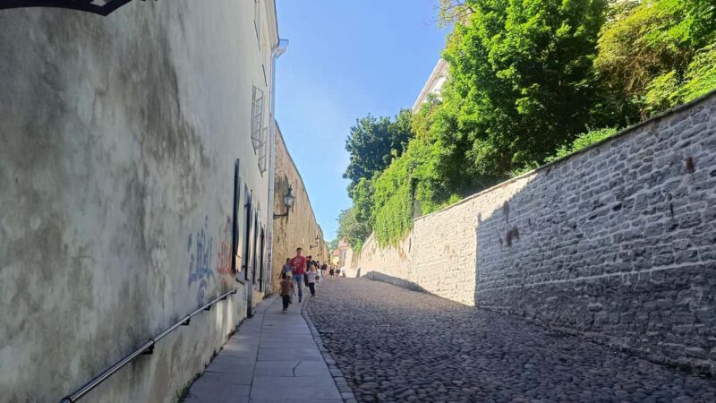 Daily life in Medieval Tallinn - Who Should Consider This Tour?