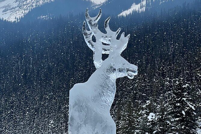 Daily One-Way Shuttle Service between Banff/Calgary/YYC Airport - Who Should Consider This Shuttle?