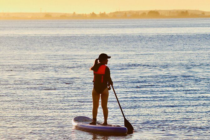 Daily SUP Paddleboard Rentals Package in Metro Vancouver - Why You’ll Love This SUP Rental Experience