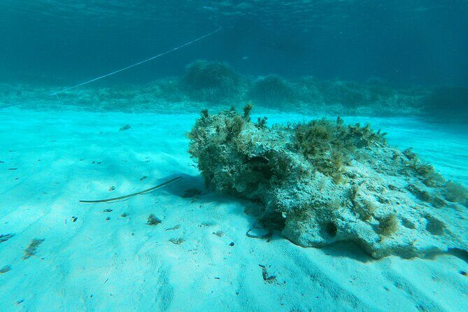 Daily tour in dinghy Favignana and Levanzo - Final Thoughts