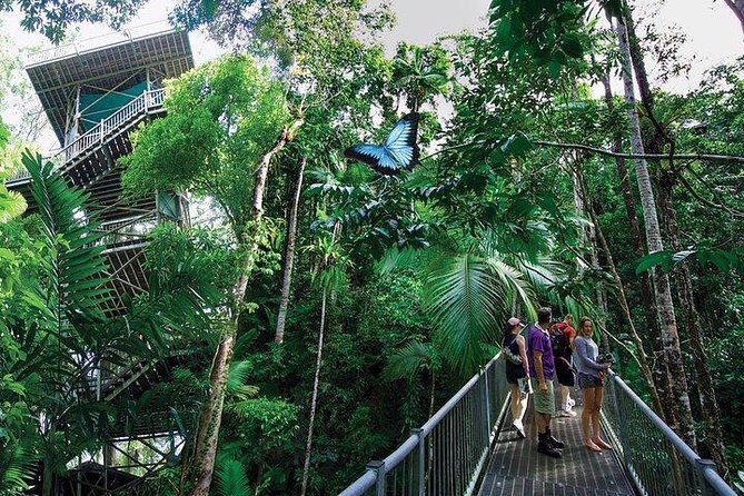 Daintree Discovery Centre Family Pass Ticket - Overview of the Experience