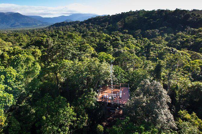 Daintree Discovery Centre Single Pass - What to Expect from Your Visit