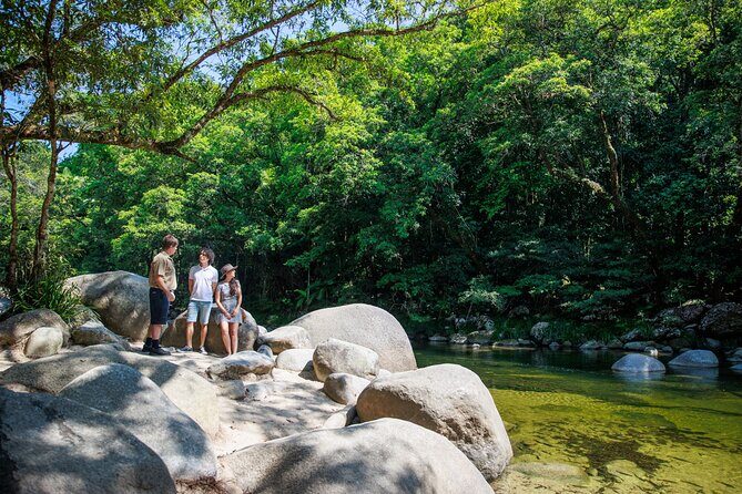 Daintree Rainforest and Cape Tribulation Day Tour from Cairns - A Detailed Look at the Tour