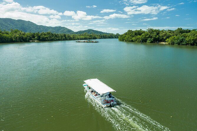 Daintree Rainforest and Cape Tribulation Full Day Tour - FAQs