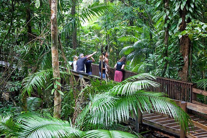 Daintree Rainforest and Mossman Gorge: Full Day Tour - Key Points