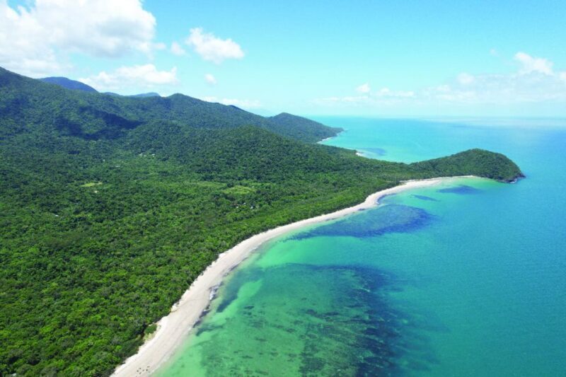 Daintree River Rainforest: Crocodile & Wildlife Cruises (DG) - The Value of the Pass and Overall Cost
