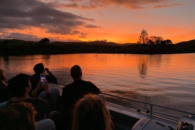 Daintree River 'Sunset' Cruise with the Daintree Boatman - Key Points