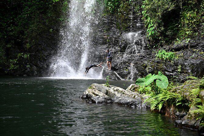 Daintree Waters Tour - Who Should Consider This Tour