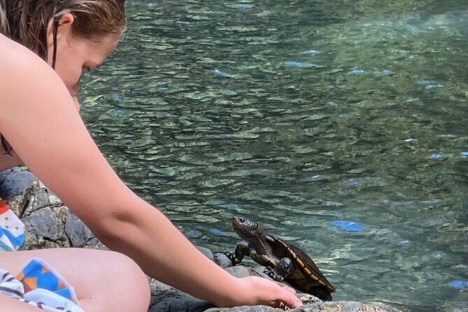 Daintree Waters Tour - Final Thoughts