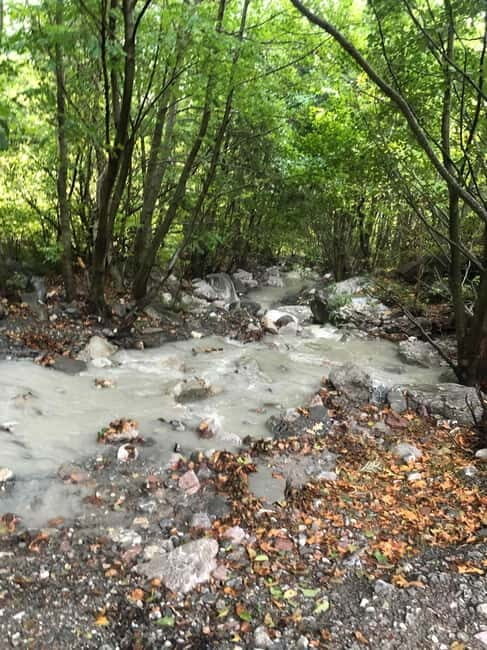 Dajti Cable Car and Shengjergj Waterfall Tour with Lunch - A Detailed Look at the Tour Experience