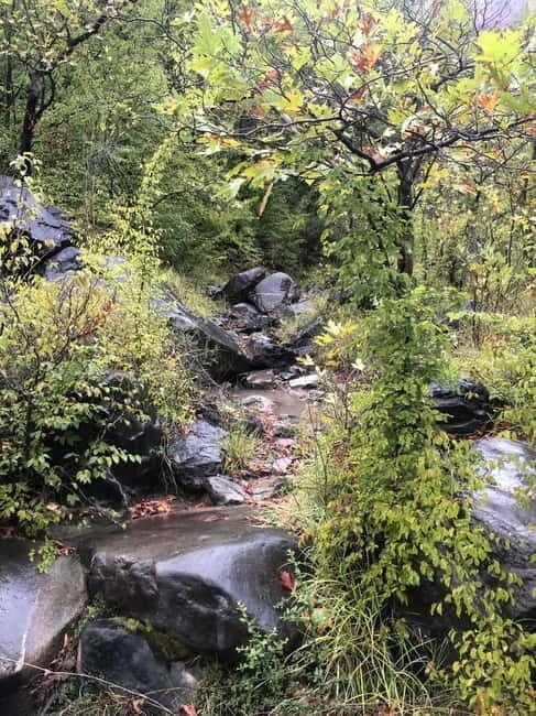 Dajti Cable Car and Shengjergj Waterfall Tour with Lunch - Authentic Traveler Perspectives