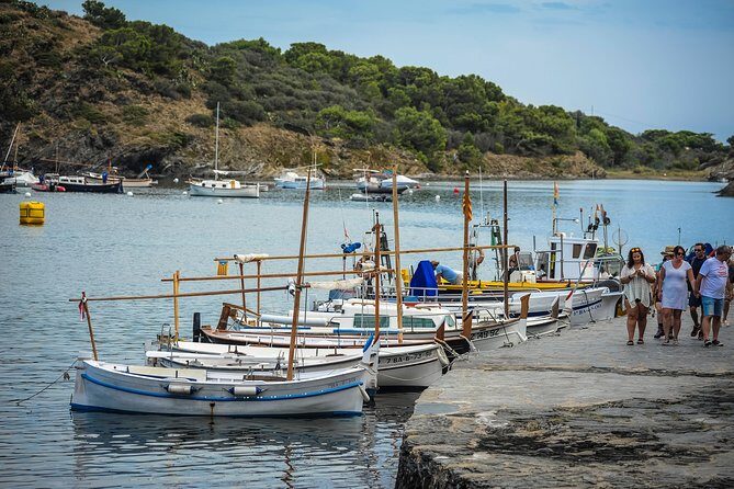 Dali Museum, House & Cadaques Small Group Tour from Barcelona - Price and Value Analysis