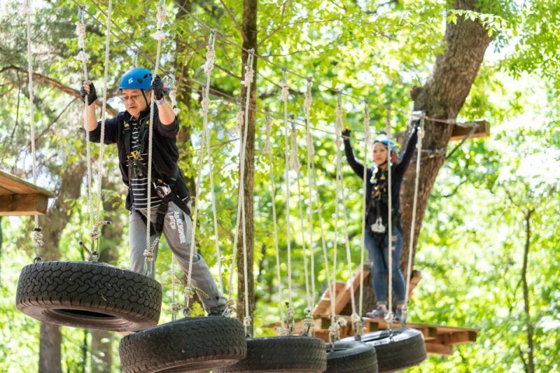 Dallas: Aerial Adventure Course Park Pass - Pricing & Value
