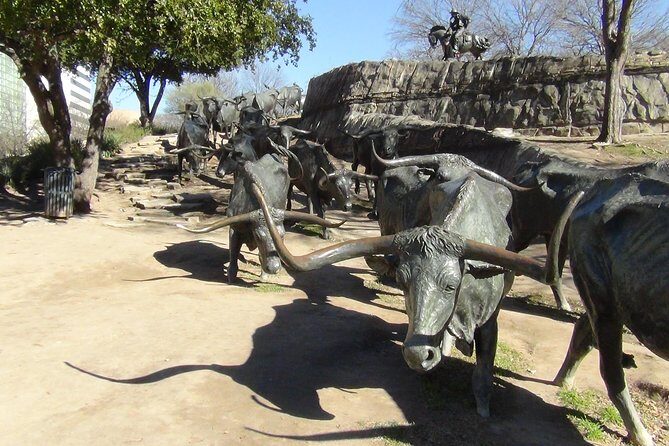 Dallas and Fort Worth City Sightseeing Tour Small-Group - The Transportation and Group Size Advantage