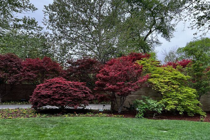 Dallas Arboretum and Botanical Gardens Tour - Final Thoughts