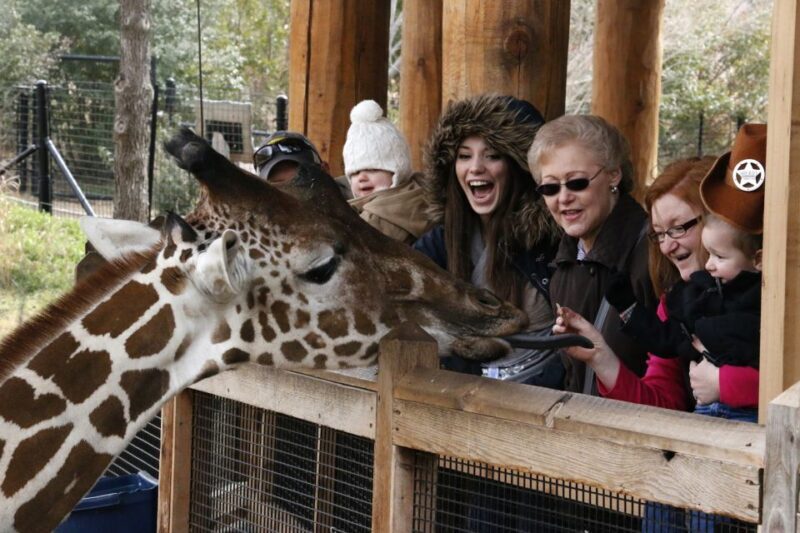 Dallas CityPASS®: Save up to 49% at 4 Top Attractions - Practical Tips for Using Your CityPASS®