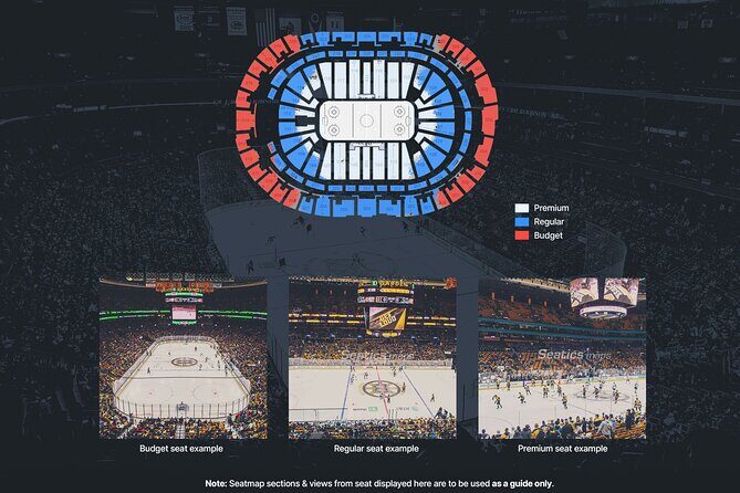 Dallas Stars Ice Hockey Game Ticket at American Airlines Center - Additional Details and Tips