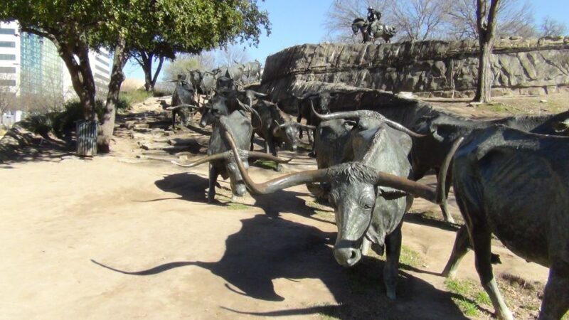 Dallas: Welcome to Dallas 3-Hour Small Group Tour by Van - What Makes This Tour Worth Considering?