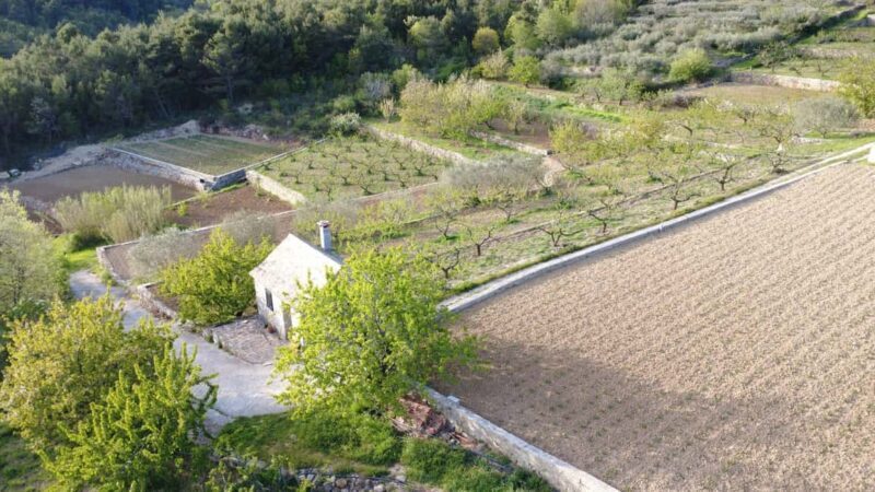 Dalmatia: Farm Experience with Cooking Class & Tastings - FAQs