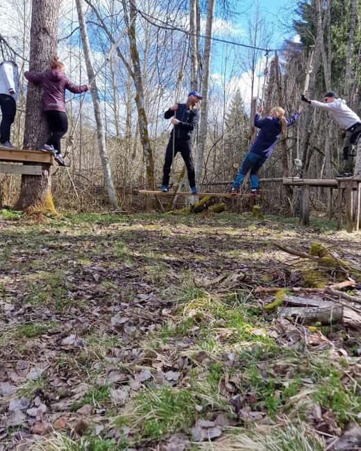 Dals Långed: High Ropes Adventure for Adults and Kids - Key Points