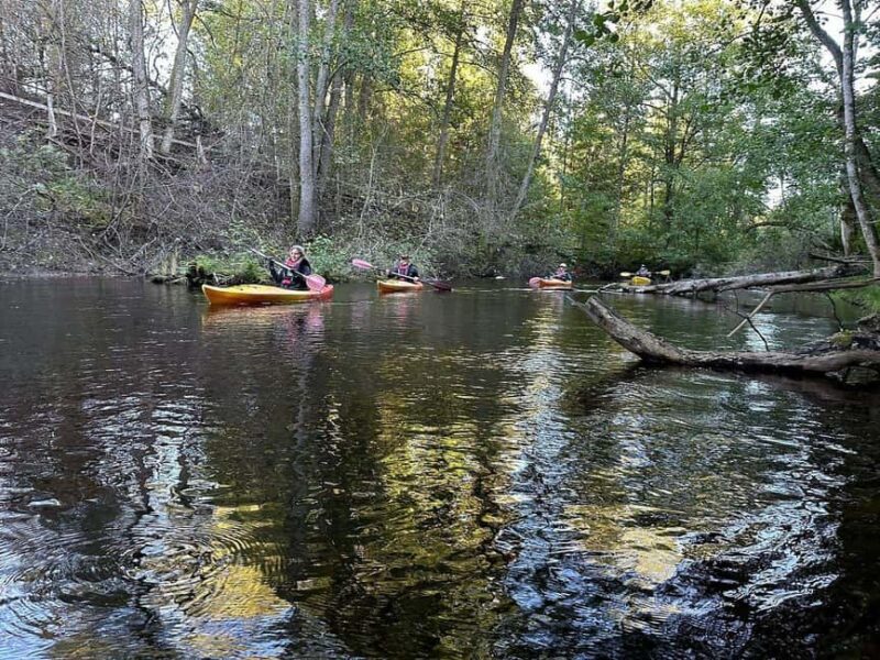Dals Långed: Steneby River Kayaking Tour - Key Points