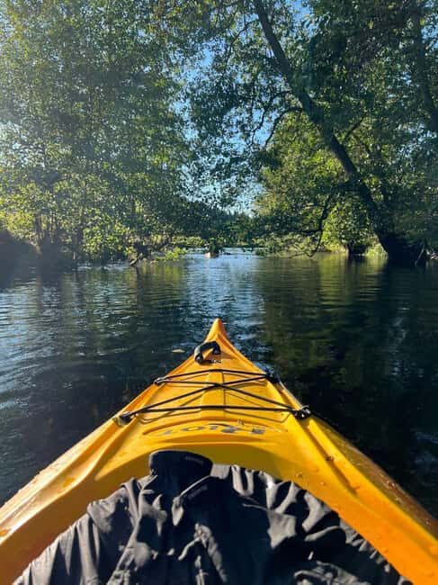 Dals Långed: Steneby River Kayaking Tour - What Is the Dals Långed: Steneby River Kayaking Tour?