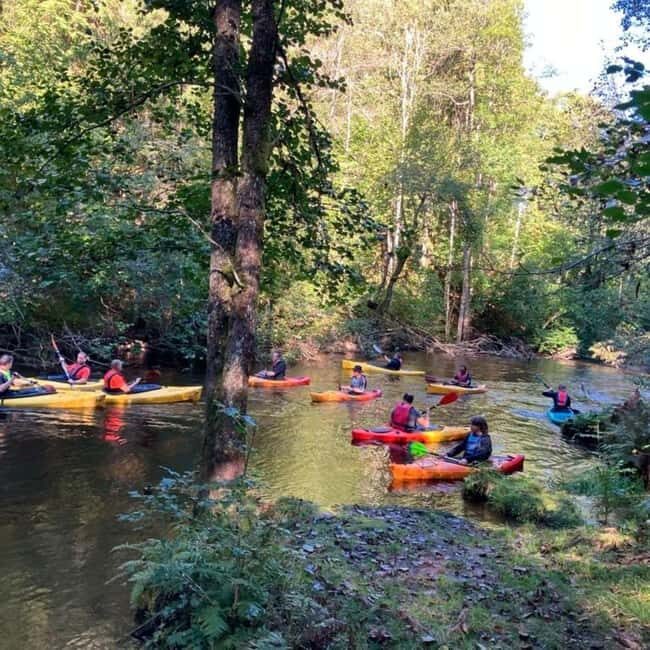 Dals Långed: Steneby River Kayaking Tour - The Experiences Highlights