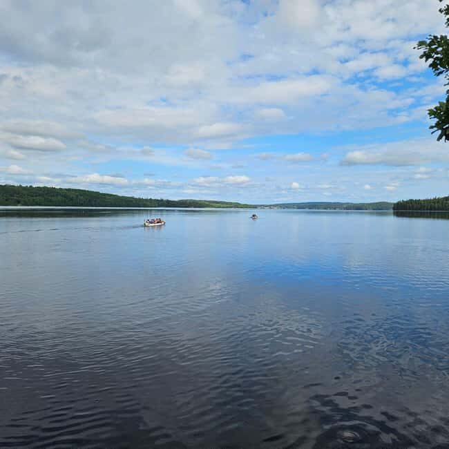 Dals Långed: Steneby River Kayaking Tour - Who Will Love This Tour?