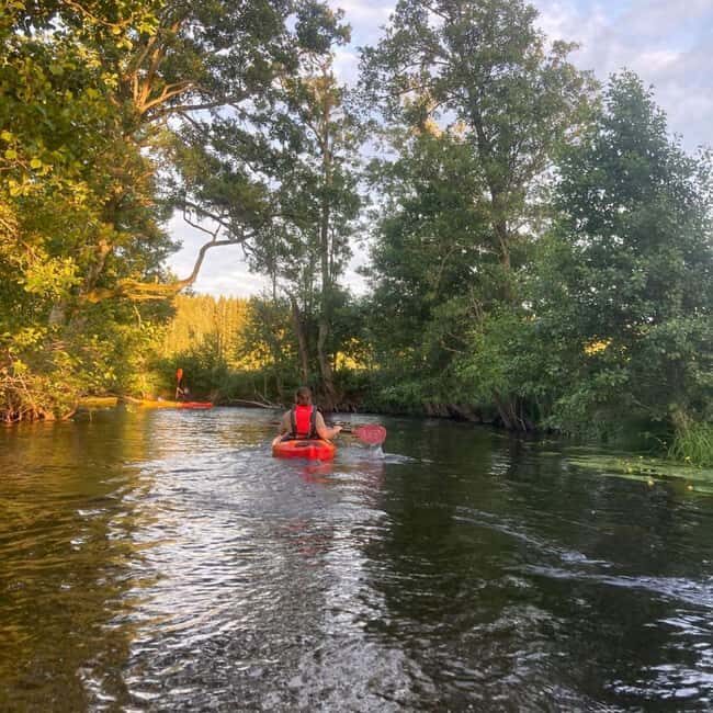 Dals Långed: Steneby River Kayaking Tour - FAQs