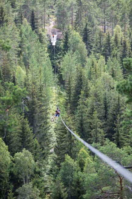 Dals Långed: Zipline Adventure at Steneby Gård - Key Points