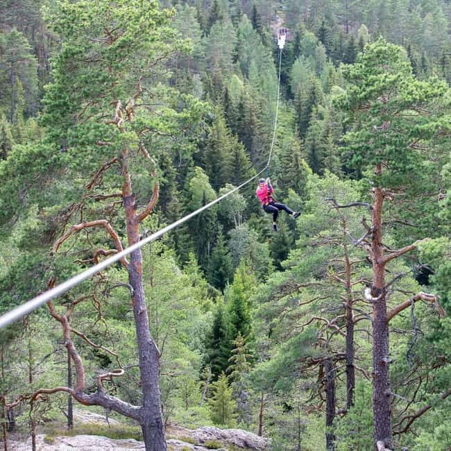Dals Långed: Zipline Adventure at Steneby Gård - What to Expect from the Zipline Experience