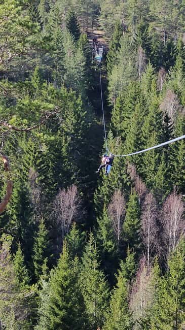Dals Långed: Zipline Adventure at Steneby Gård - Considerations and Practical Details