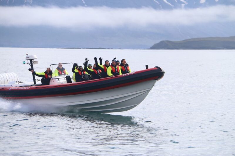 Dalvík: Whale Watching Speedboat Tour - What Makes This Tour Special?