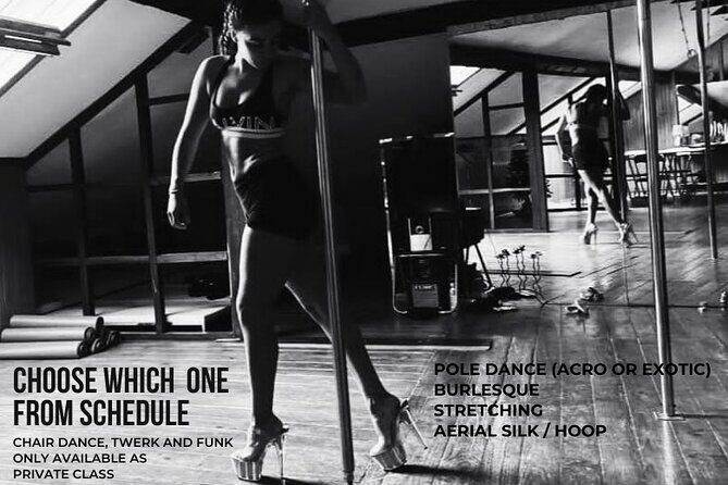 Dance Class (choose 1: Pole Dance, Burlesque or Aerial Silk/Hoop) - The Vibe and the Environment