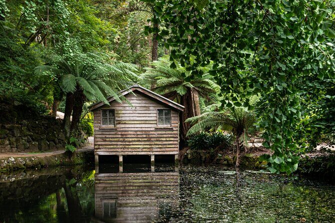 Dandenong Ranges Private Day Tour - The Journey: A Closer Look at the Itinerary