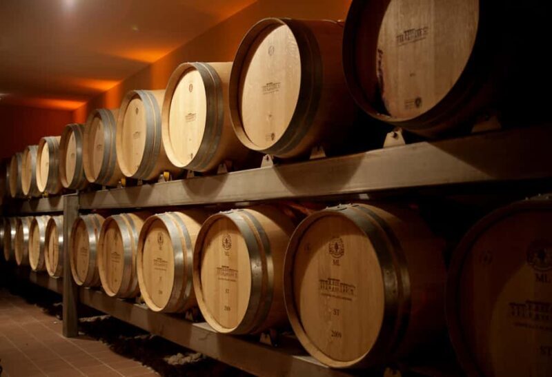 "Dans le Nez du Vin" tour  Aromas & Faults in Saint Emilion - Real User Feelings and Reviews