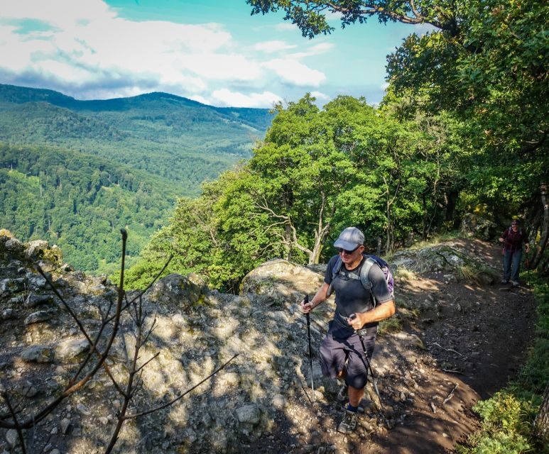 Danube Bend: Full-Day Hiking Tour from Budapest - Key Points