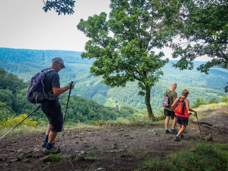 Danube Bend: Full-Day Hiking Tour from Budapest - The Real Deal: What Travelers Say