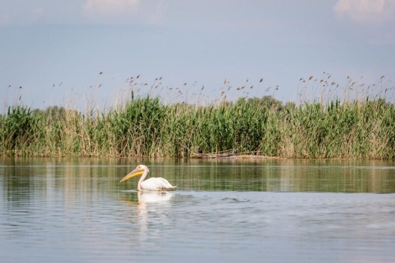 Danube Delta - 2-Day Tour from Bucharest - The Sum Up