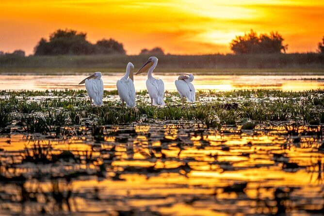 Danube Delta and Black See - 2 Days Private Tour from Bucharest - Whats Included—and Whats Not