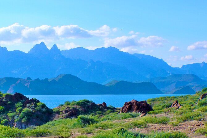 Danzante Island and Snorkel Tour from Villas del Palmar Hotel - Final Thoughts