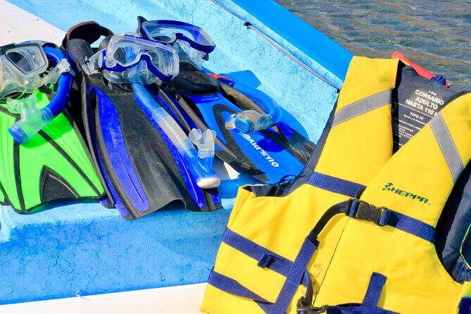 Danzante Island and Snorkel Tour from Villas del Palmar Hotel - FAQs