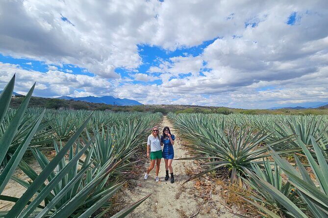 Danzantes Premium Mezcal, Hierve el Agua, Textiles & Lunch - Exploring Oaxaca with the Danzantes Premium Mezcal, Hierve el Agua, Textiles & Lunch Tour