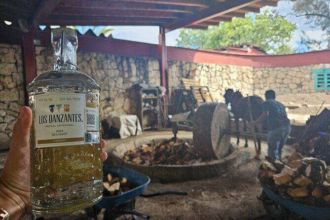 Danzantes Premium Mezcal, Hierve el Agua, Textiles & Lunch - An In-Depth Look at the Tour Experience