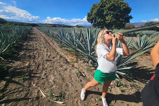 Danzantes Premium Mezcal, Hierve el Agua, Textiles & Lunch - Frequently Asked Questions
