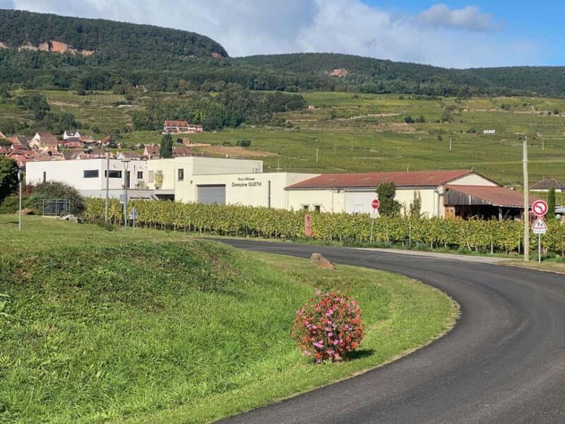 Dare to Alsace Wine with a Feminine Touch - What We Love and What’s Not Perfect