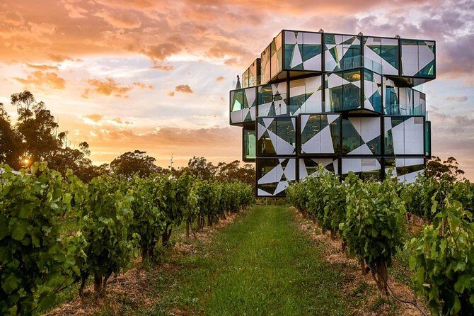 d'Arenberg Cube / McLaren Vale Regional Tour - Key Points