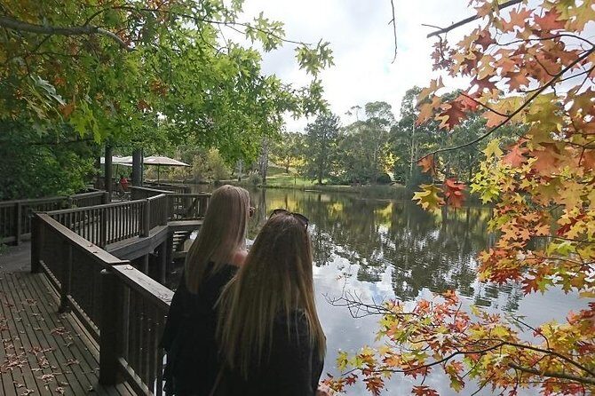 d'Arenberg Cube / McLaren Vale Regional Tour - The Experience at a Glance